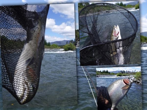 Big Bend is still throwing a few out.