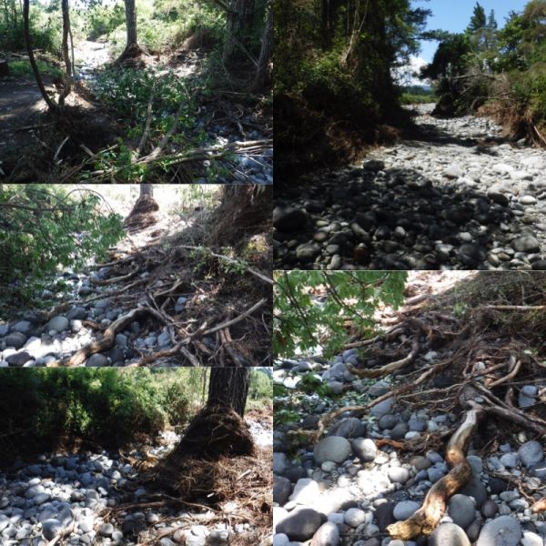 The track to Boulder Reach is still a mess. And looking further up, the river could break through here permanently in the future