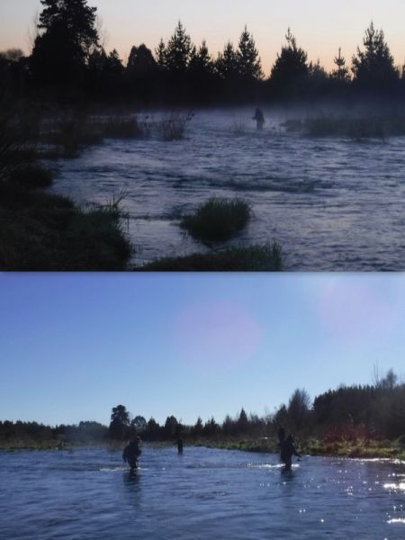 It was already filling up fast at dawn and the steady stream of anglers continued all day.