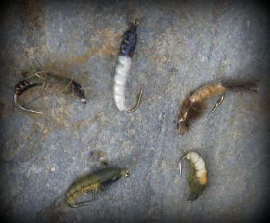 Caddis selection.
