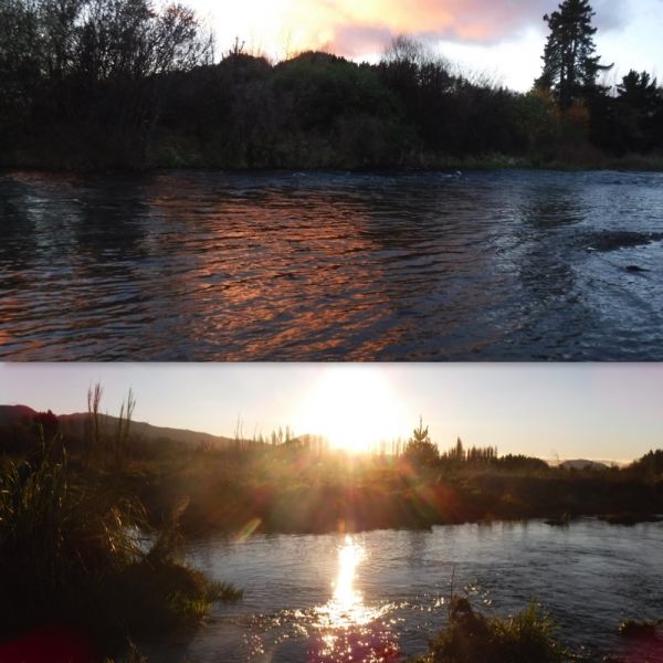 I've had a good week...starting at dawn and returning to fish the same stretch until sunset.