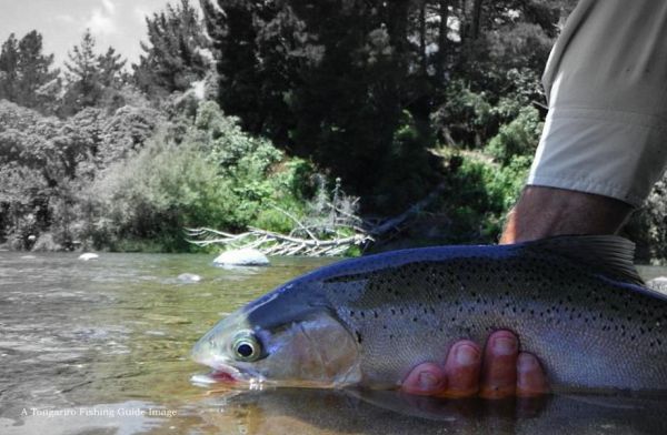 The river is fishing well at the moment.
