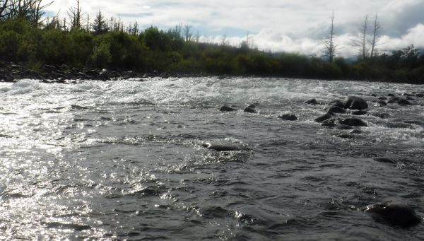 These are always great spots, especially in summer.