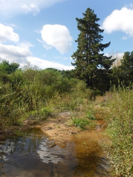 The old river course above Spot X is now little more than a stagnant backwater. Notice the orangey brown sludge that has been deposited all along the river since the floods earlier this year. Its extremely slippery so be careful when you walk on the stuff.