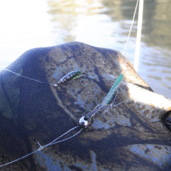 If you're getting a few on the the Peeking Caddis Bomb teaming it with a caddis larvae can often increase your chances even more.