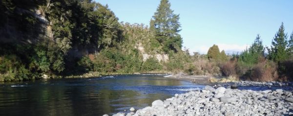 With easy wading and nice even flows you get a good long drift in most of the pool now.