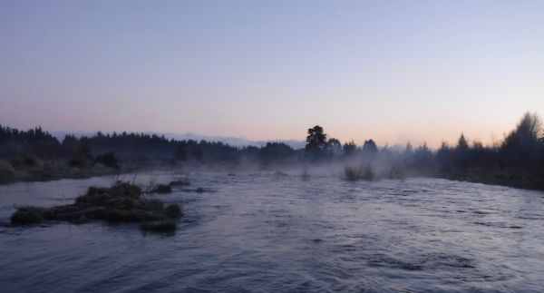 A freezing dawn on Sunday as the mist rolled in and I was glad I'd filled the thermos. From now on parts of the Braids will be host to dozens of actively spawning rainbows but I try and avoid these wherever possible.