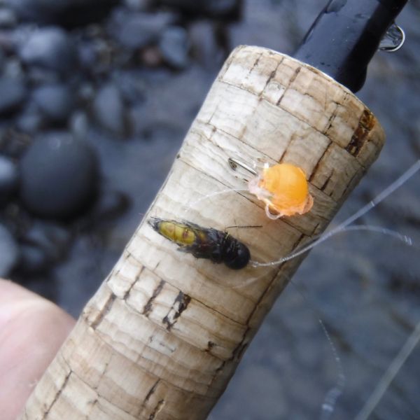 And teamed with this combination during the winter runs, will get you a lot of fish. The spacing between the flies is important. To repeat.. the gap between the dry and middle fly must be greater than the distance from the middle to point fly. Getting this right will help prevent tangles.
