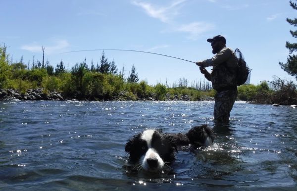 You won't catch huge numbers of fish here. Usually its three or four and that's it. But Blue was counting and came down to tell me he'd hooked another.