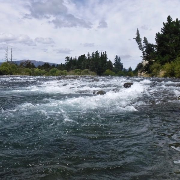 Places like this are always worth a try especially in low summer conditions.