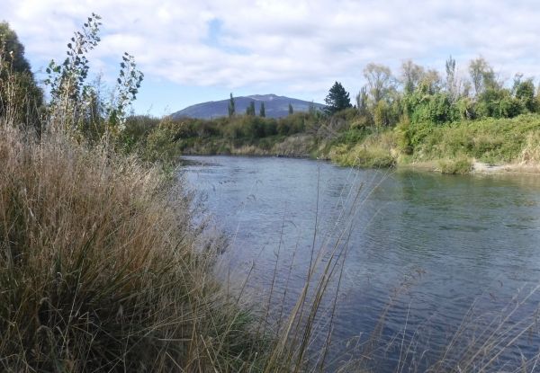 No big, weed covered boulders to contend with in this part of the Tongariro.