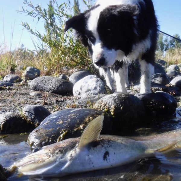 Blue making sure this one's going nowhere.