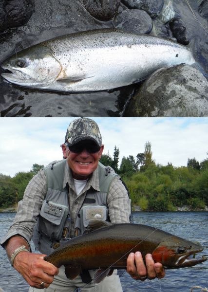 There have been plenty of rainbows caught as well.