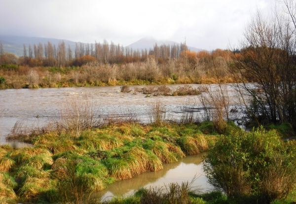 The river flowing again towards the old Plank Pool.