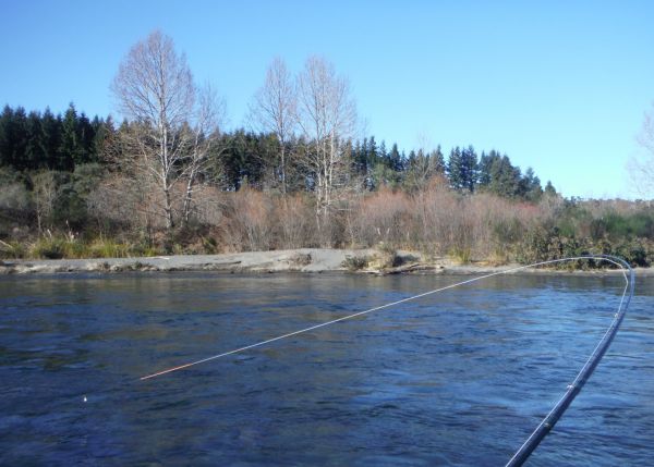 Hooked up on the middle river.