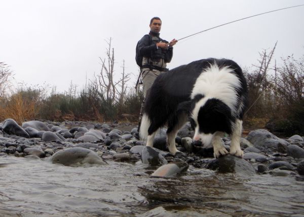 Blue making sure this one doesn't get away.