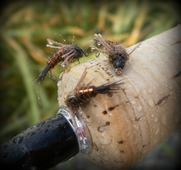P.T Cadillac Nymph.