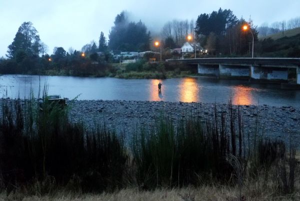 The Bridge Pool already occupied at first light. But all quiet while I was there.
