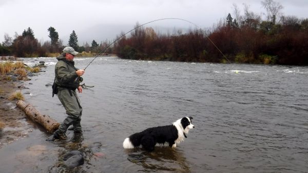 Mark Tomsett hooked up in Judges earlier this week.