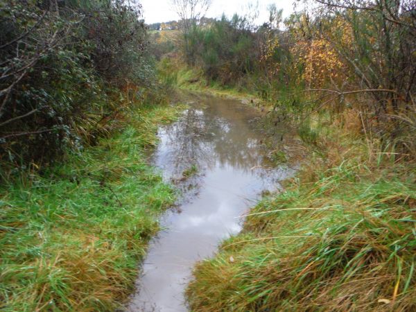 One of the town tracks underwater.