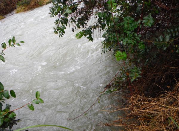 This normally shallow flowless bypass crossing is a great place to try after a fresh and often produces in these conditions.