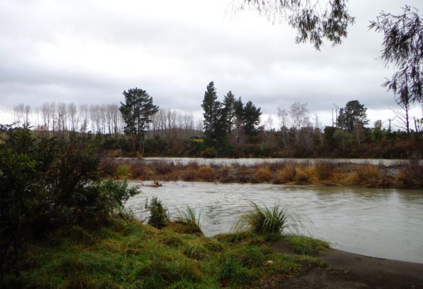 Looking across to the Island Pool with the river at 250 plus.