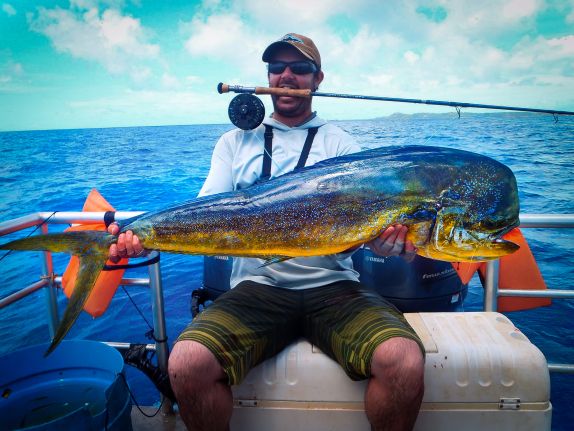 A Mahi Mahi