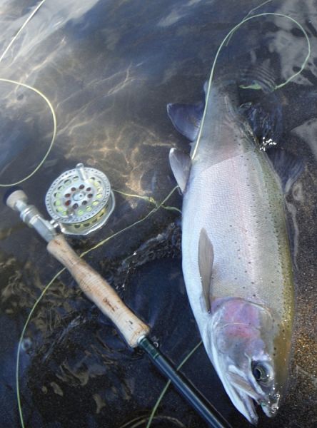 They're not all slabs...a good fish taken earlier this week.