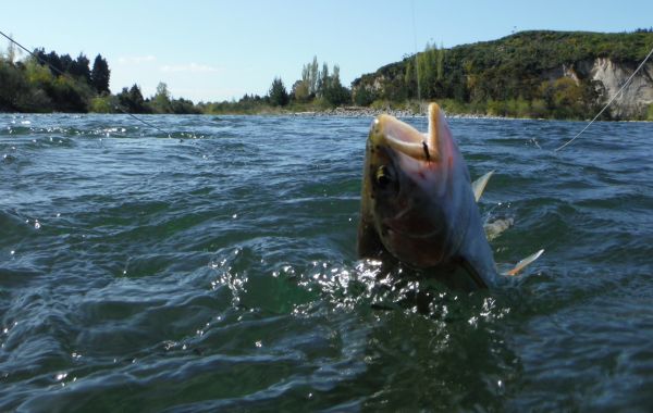 Perfect conditions for nymphers and wet-liners.