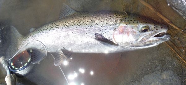 Its difficult not to catch at the moment.