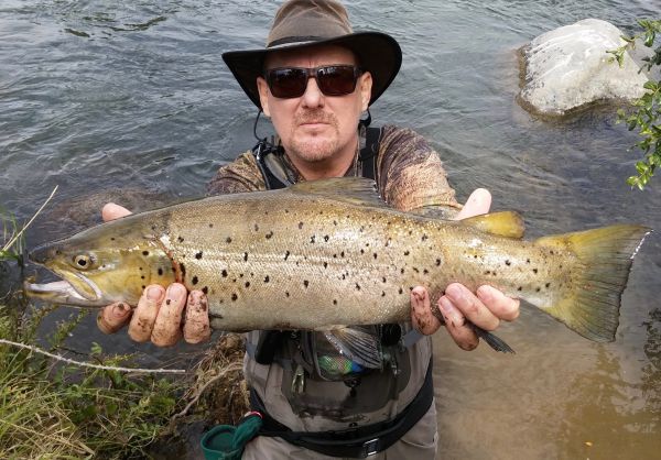 A smaller brown a couple of days ago.