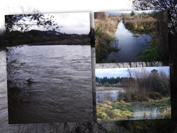 Plenty of water at the Braids this morning. But it'll be good once its fishable again and there'll be some great fish caught.